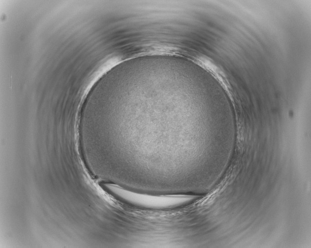X0000087041235200704250931