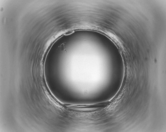 X0000087041238200704250931