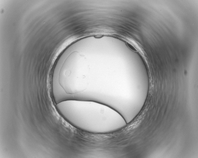 X0000087041243200704250931