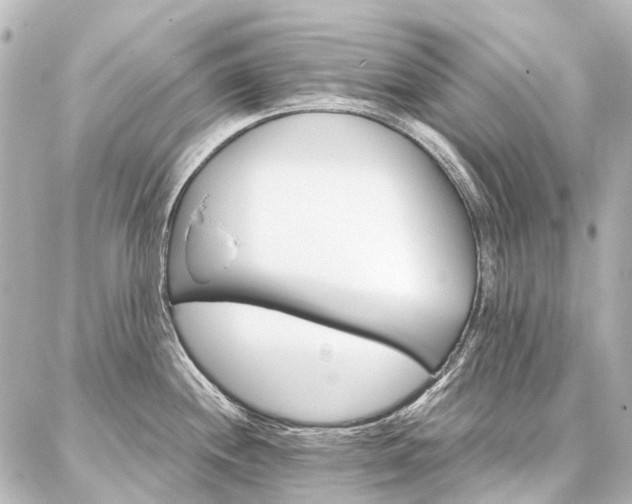 X0000087041244200704250931