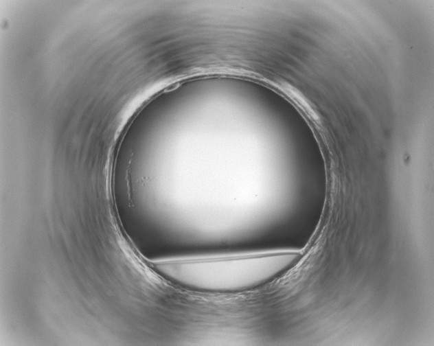 X0000087041246200704250931