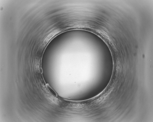 X0000087041273200704250930