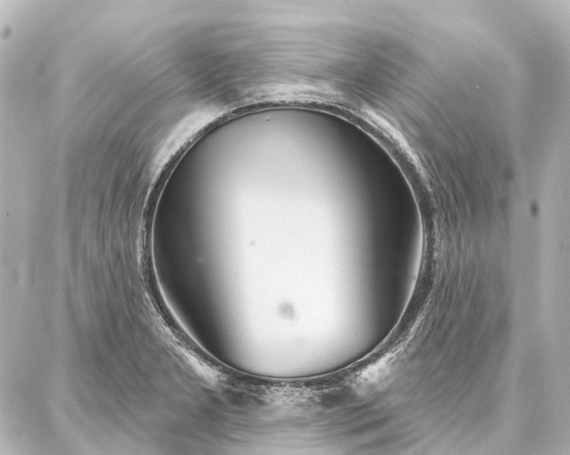 X0000087041277200704250930