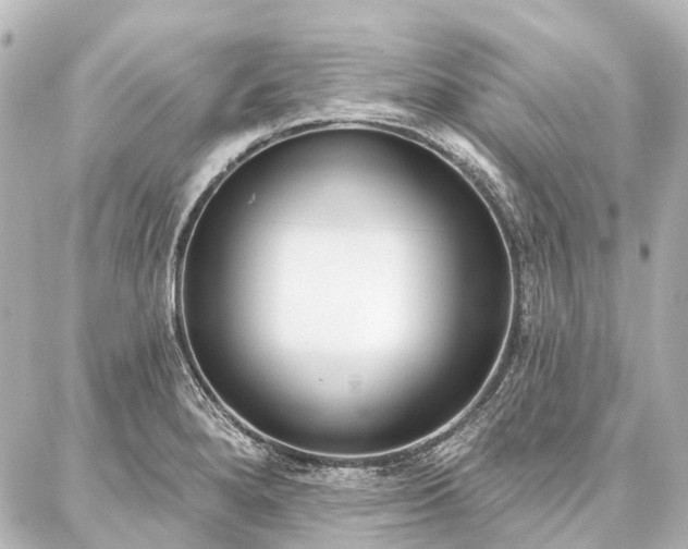 X0000087041280200704250930