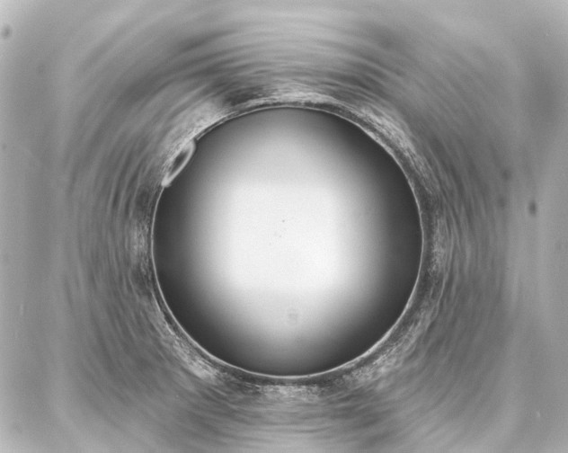 X0000087041281200704250930