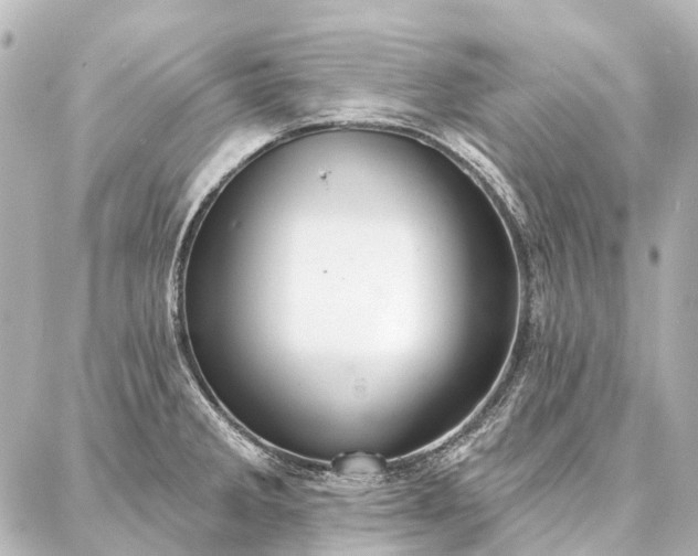 X0000087041285200704250929