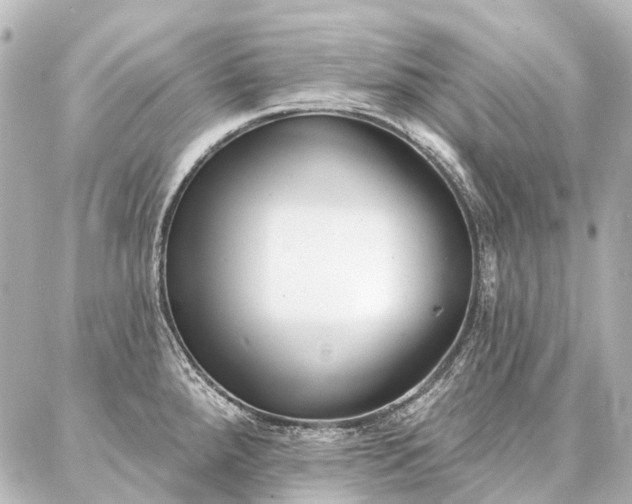 X0000087041288200704250929