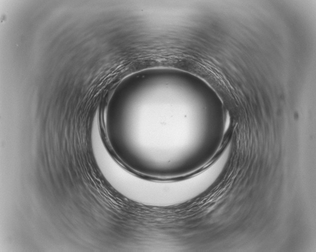 X0000087041298200704250928