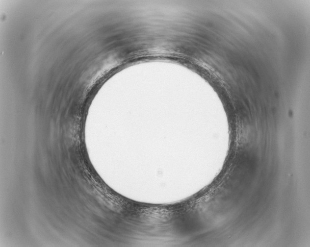 X0000087041314200704250929
