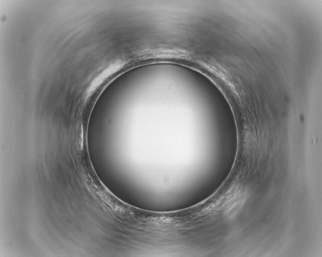 X0000087041317200704250929