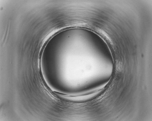 X0000087041324200704250929