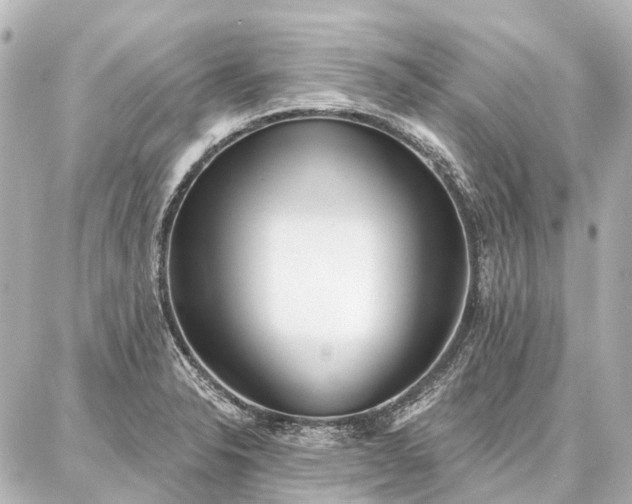 X0000087041326200704250929