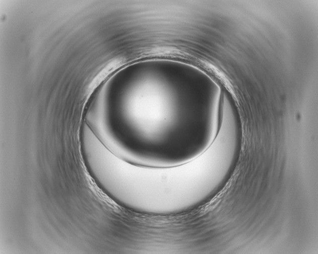 X0000087041330200704250929