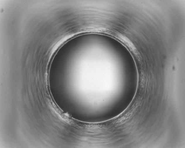 X0000087041332200704250929