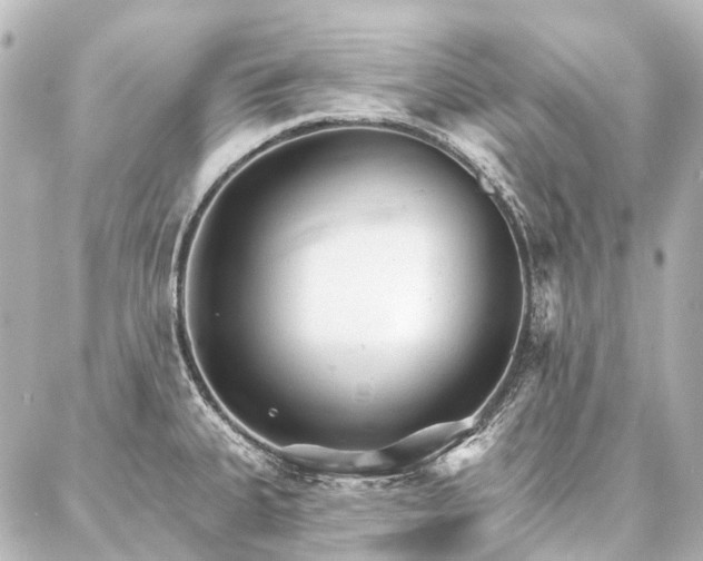 X0000087041335200704250929