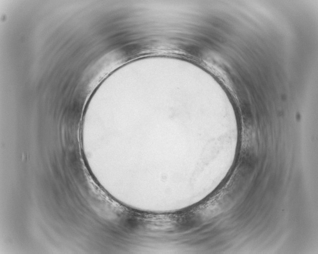 X0000087041338200704250929