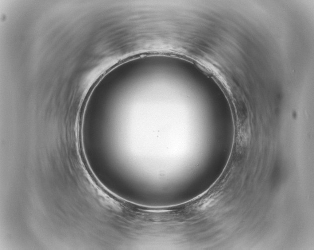 X0000087041343200704250929