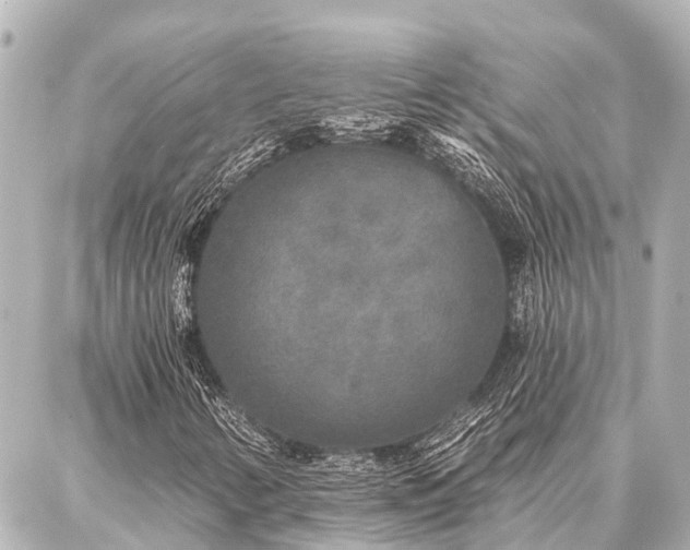 X0000087041346200704250928