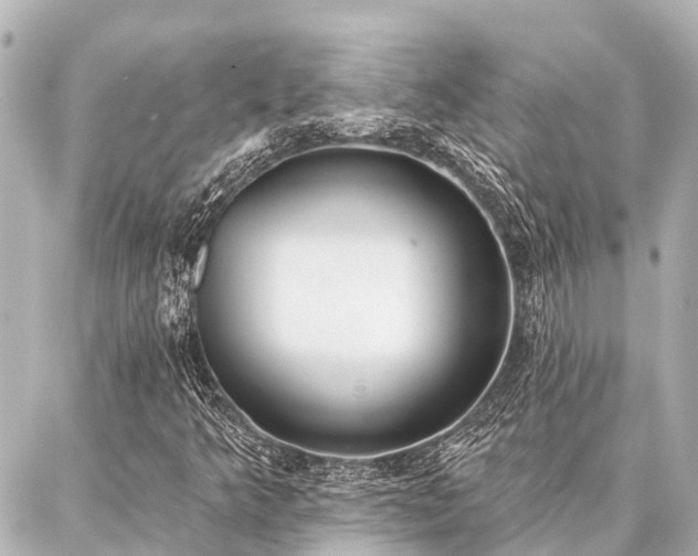 X0000087041349200704250928