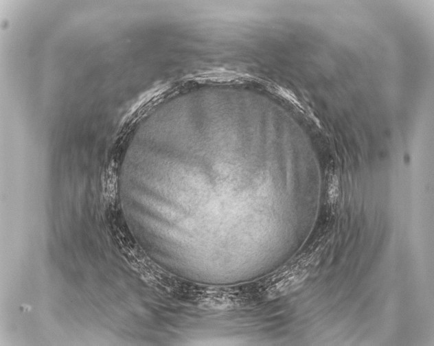 X0000087041350200704250928