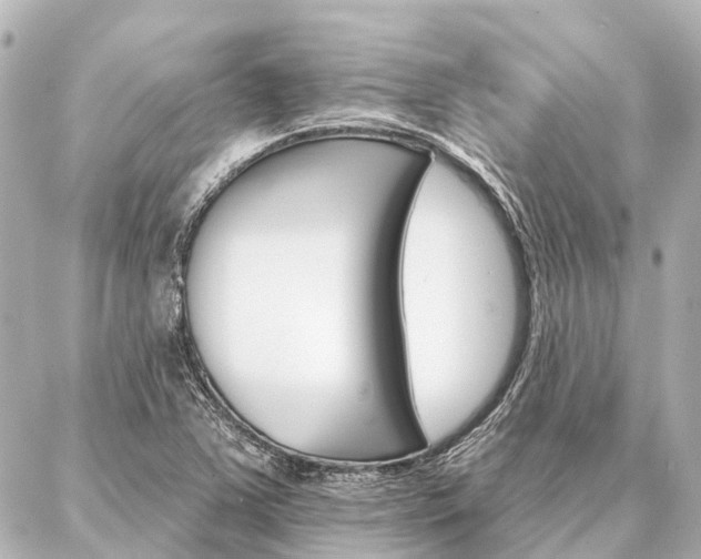 X0000087041363200704250928