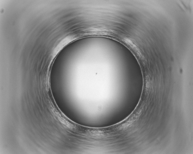 X0000087041370200704250928