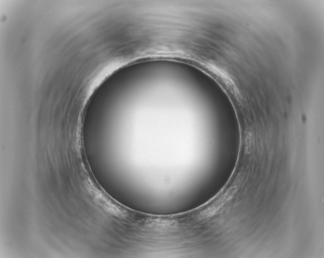 X0000087041374200704250928