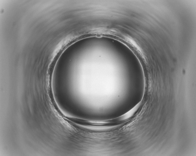 X0000087041376200704250928