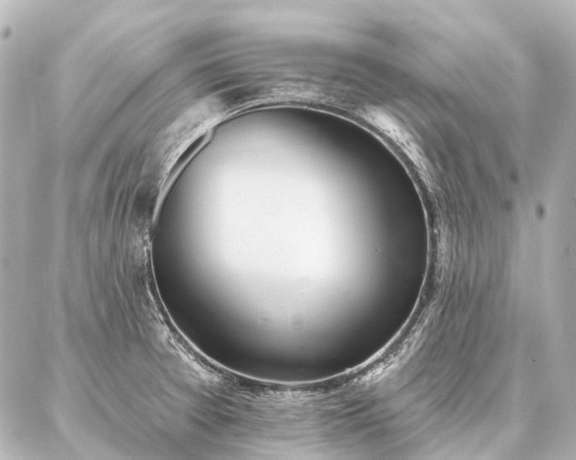 X0000087041377200704250928