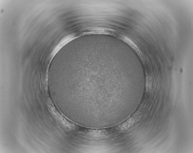 X0000087041378200704250928