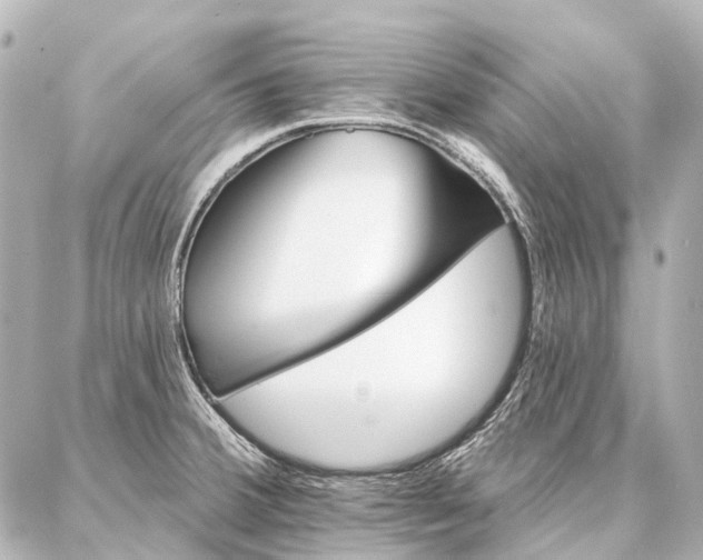 X0000087041380200704250928