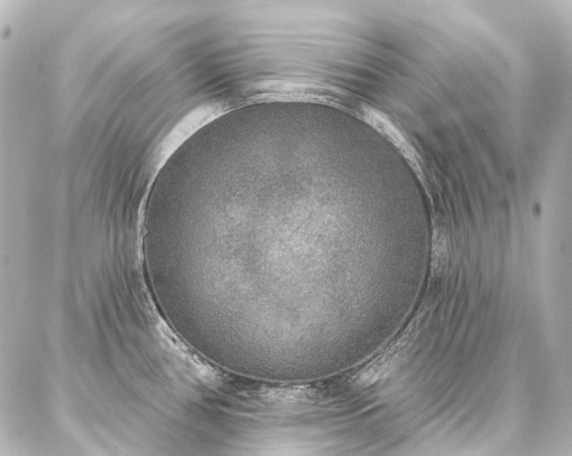 X0000087041386200704250928