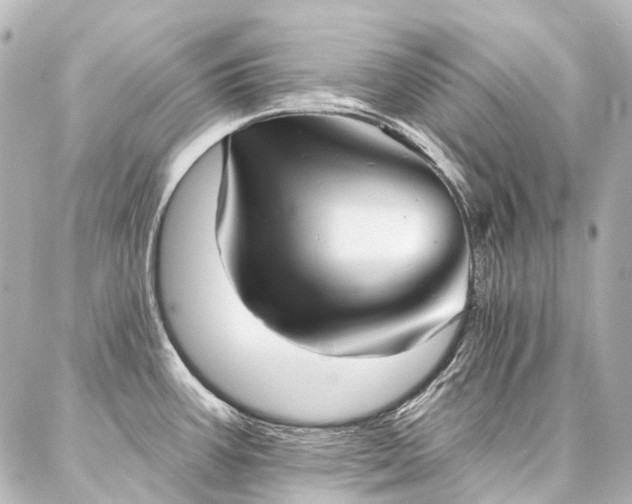 X0000087041387200704250928