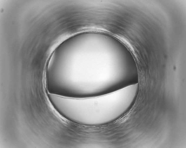 X0000087041391200704250928