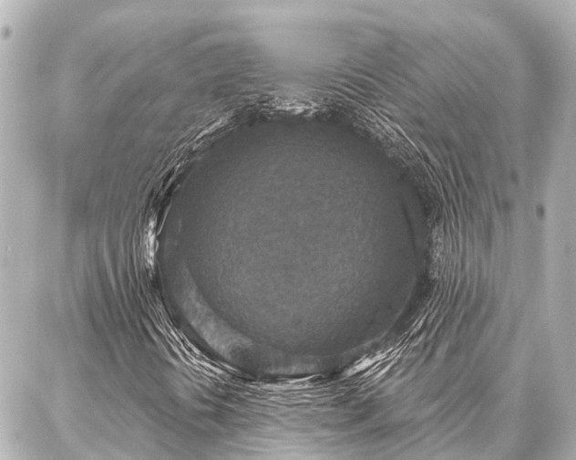 X0000087041394200704250927