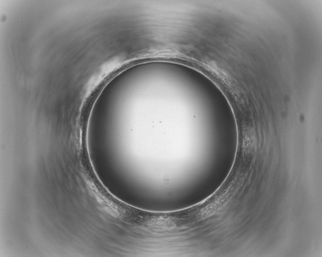 X0000087041414200704250927