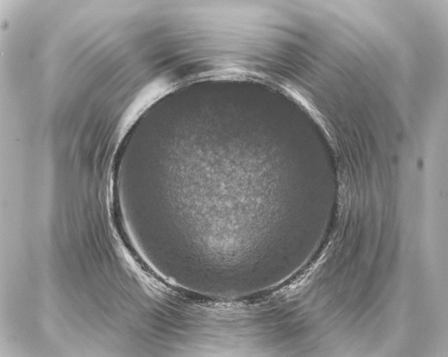 X0000087041418200704250927