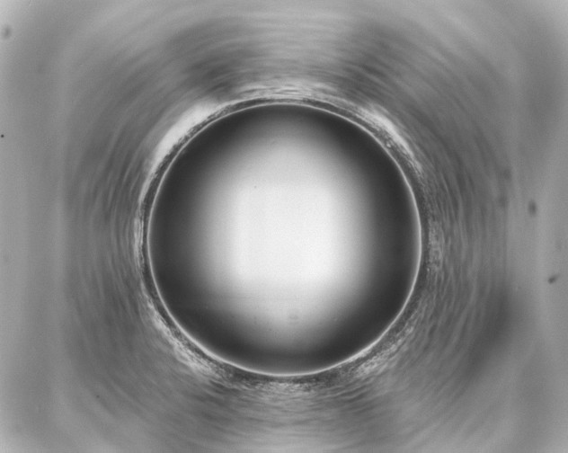 X0000087041424200704250927