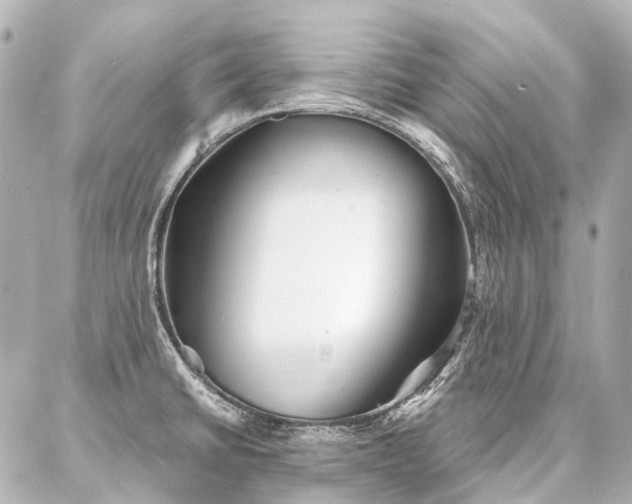 X0000087041430200704250927