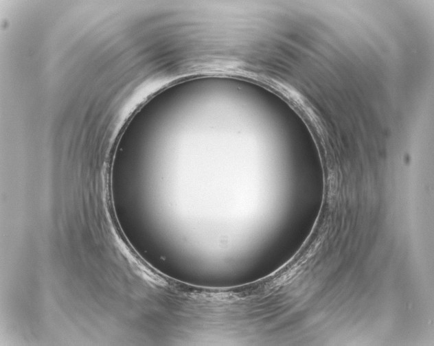 X0000087041432200704250928