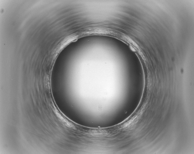 X0000087041433200704250928