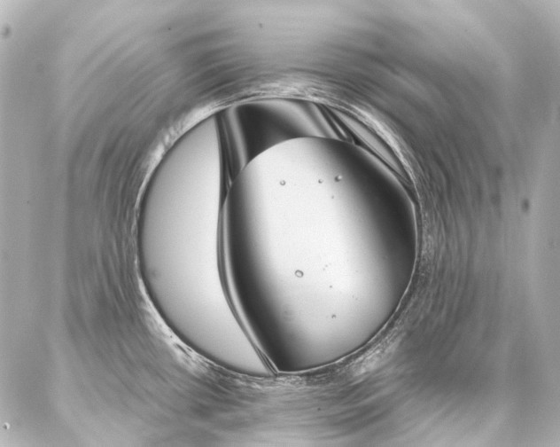 X0000087041434200704250928