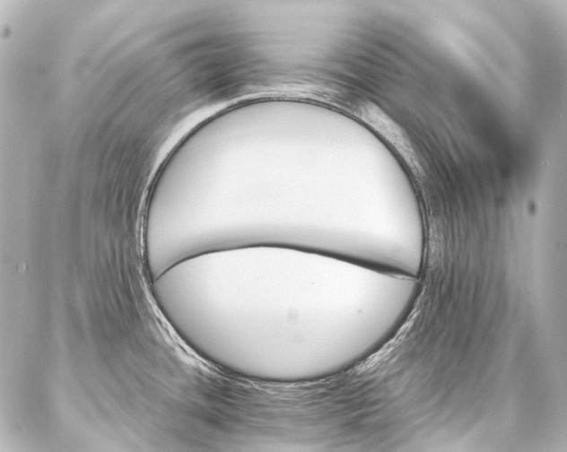 X0000087041436200704250928