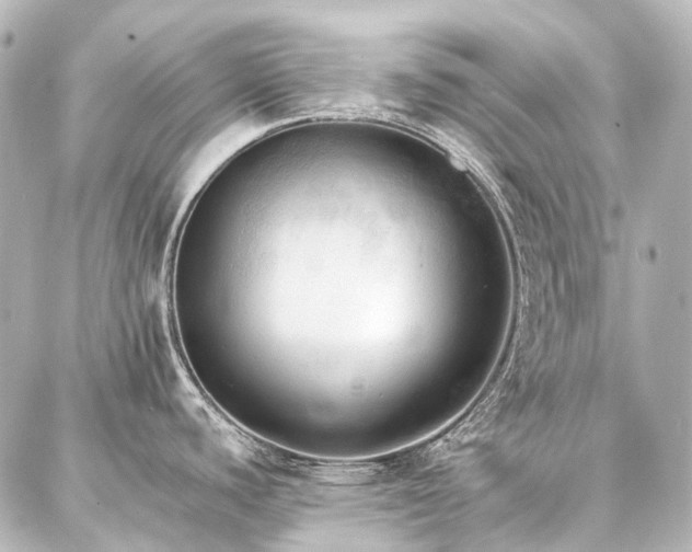 X0000087041440200704250928