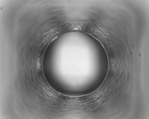 X0000087041442200704250927
