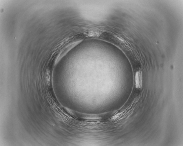 X0000087041443200704250927