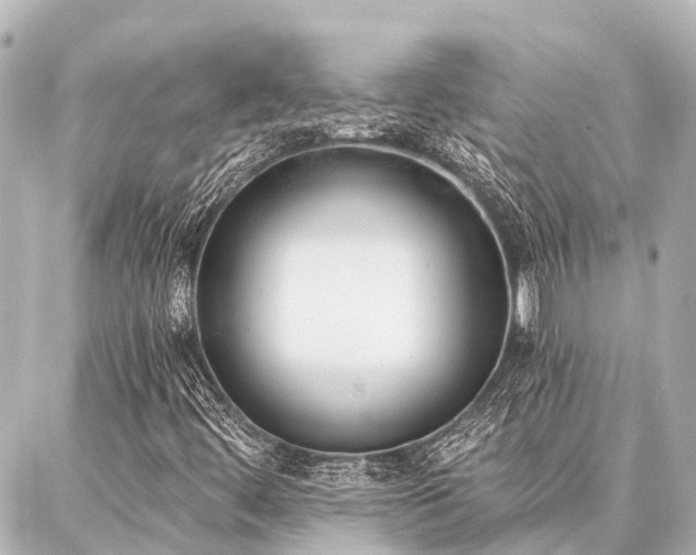 X0000087041444200704250927