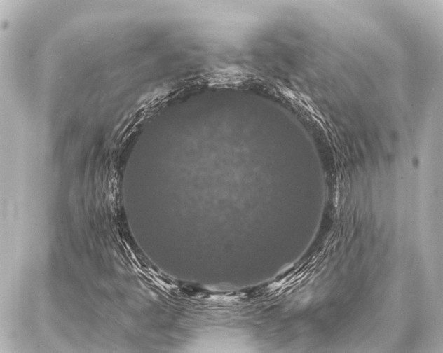 X0000087041445200704250927