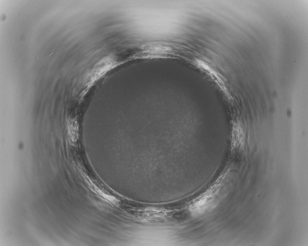 X0000087041449200704250927