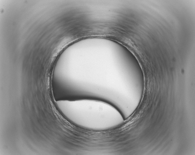 X0000087041459200704250927